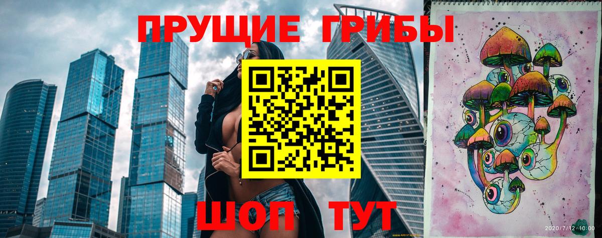Псилоцибиновые грибы Cubensis  Вход с VPN  Бирск 