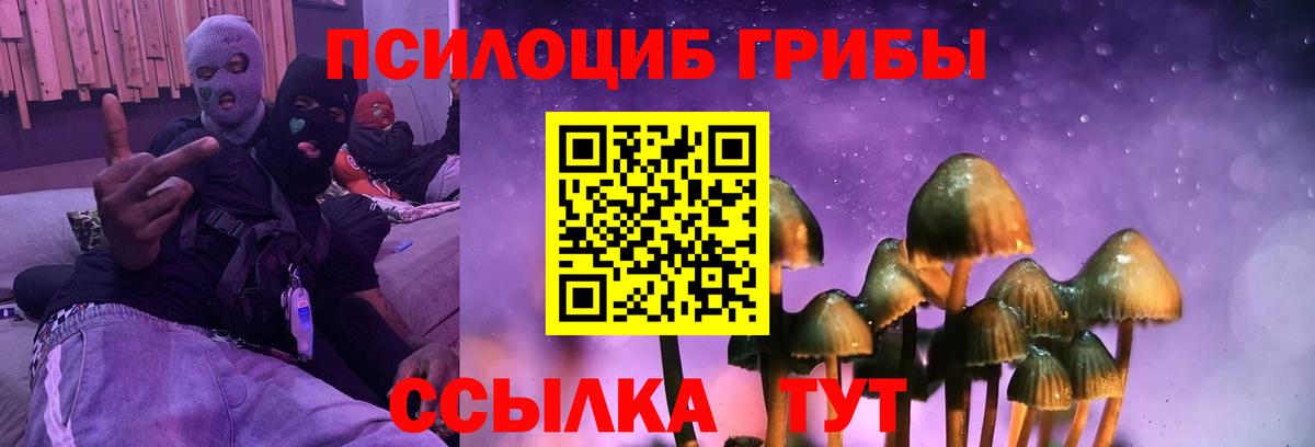Галлюциногенные грибы GOLDEN TEACHER Бирск